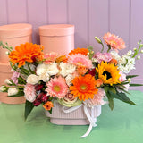 Rapunzel - Luz de Atardecer