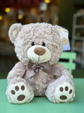Teddy Cariñoso Pequeño