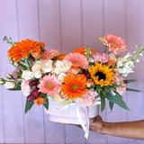 Rapunzel - Luz de Atardecer