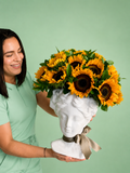 Diosa del Sol
