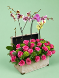 Baúl de Orquideas Phalaenopsis y Rosas Importadas