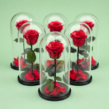 Luxury of LOVE