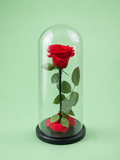 Luxury of LOVE