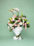 Venus Le Fleur
