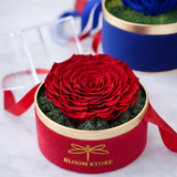 Cubo Petalos Eternos