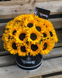 Girasoles locales 36